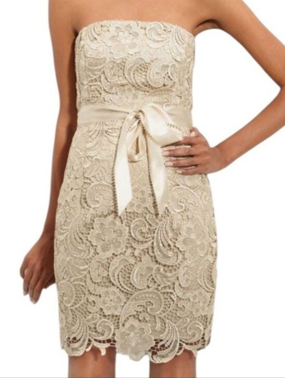 Adrianna Papell Strapless Lace Sheath Dress in Champagne, size 8